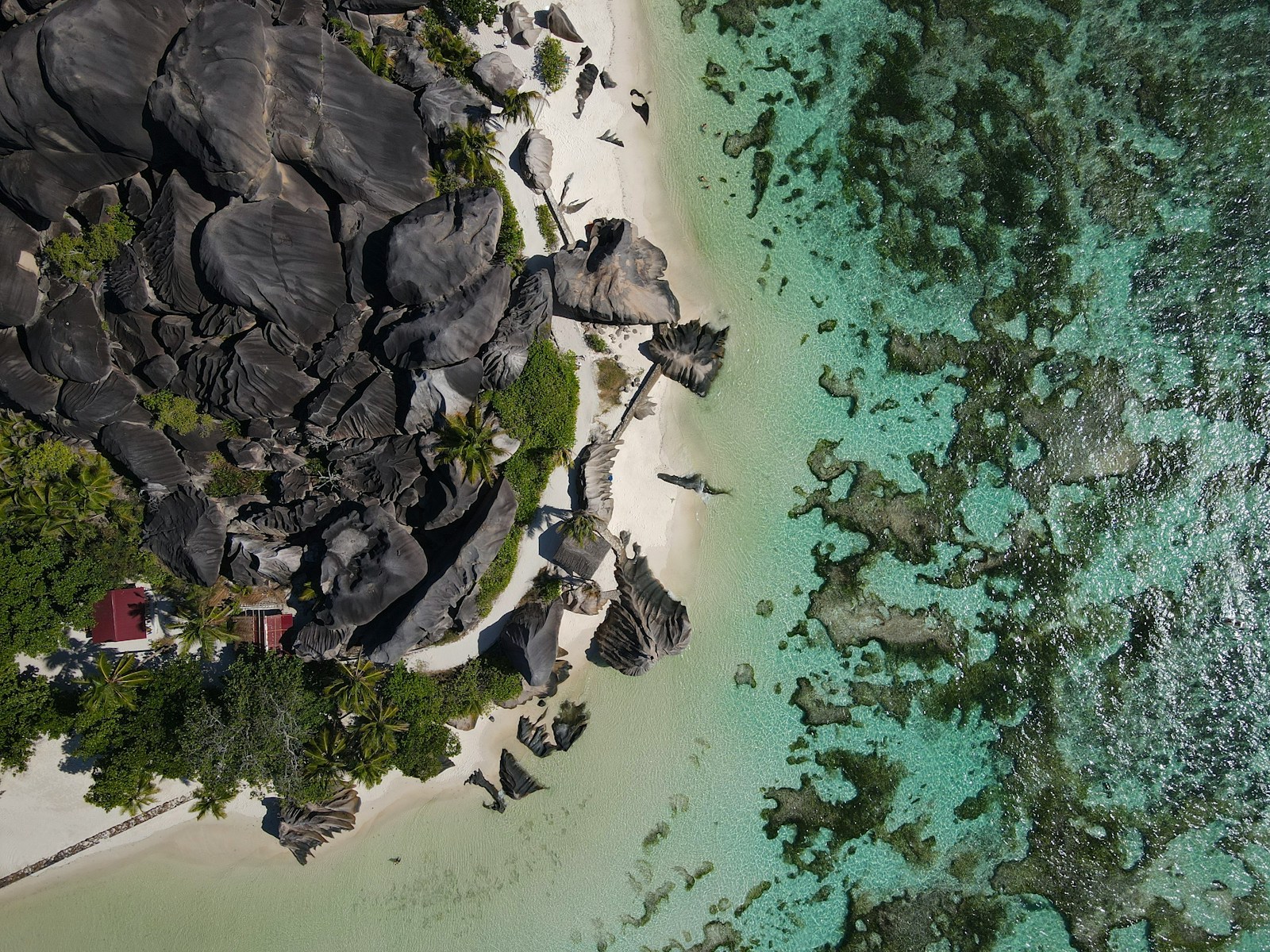 Voyage de noces aux Seychelles, conseils pratiques et idées insolites