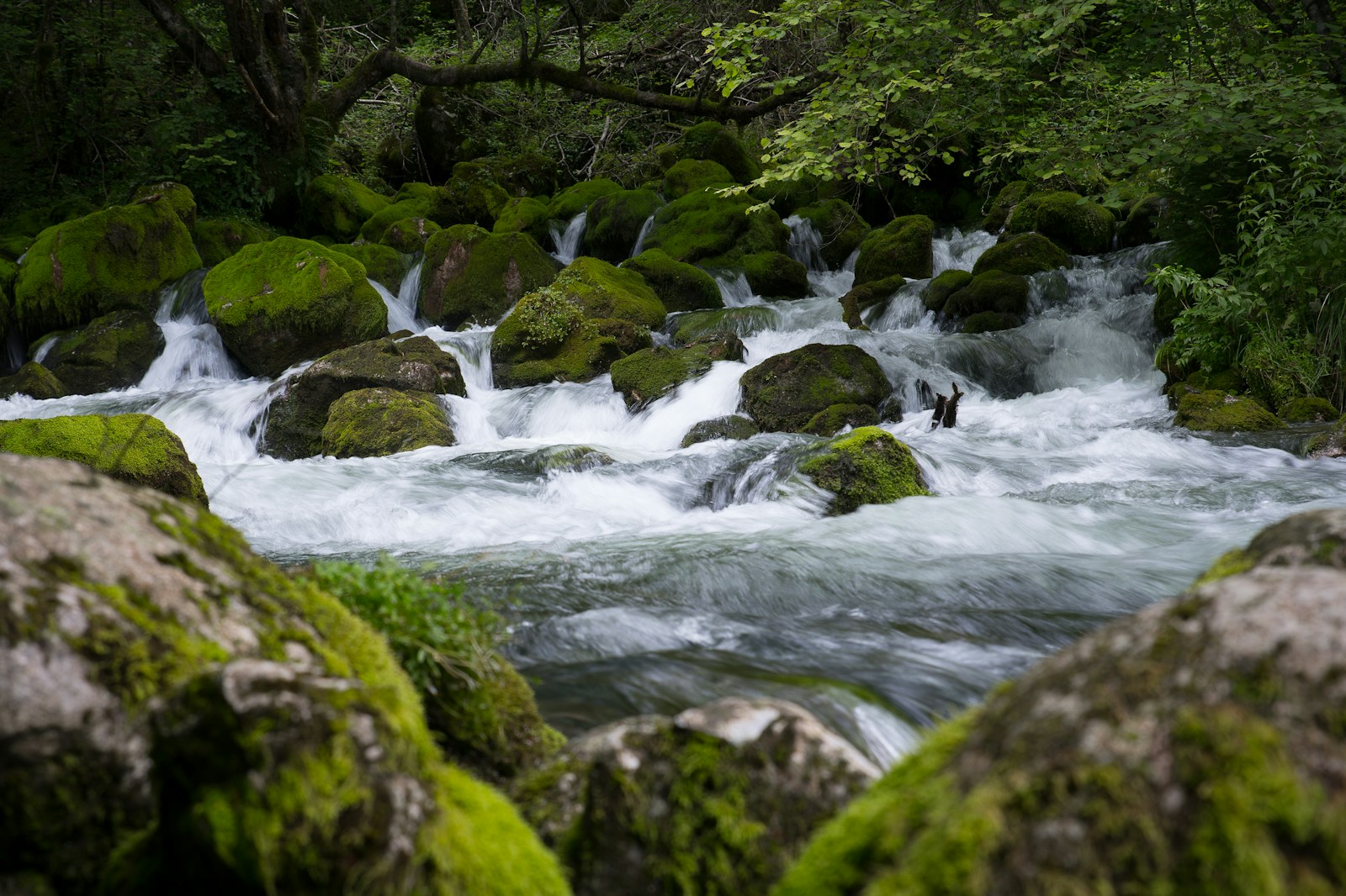 Vallée de la Soca : Une nature époustouflante à explorer