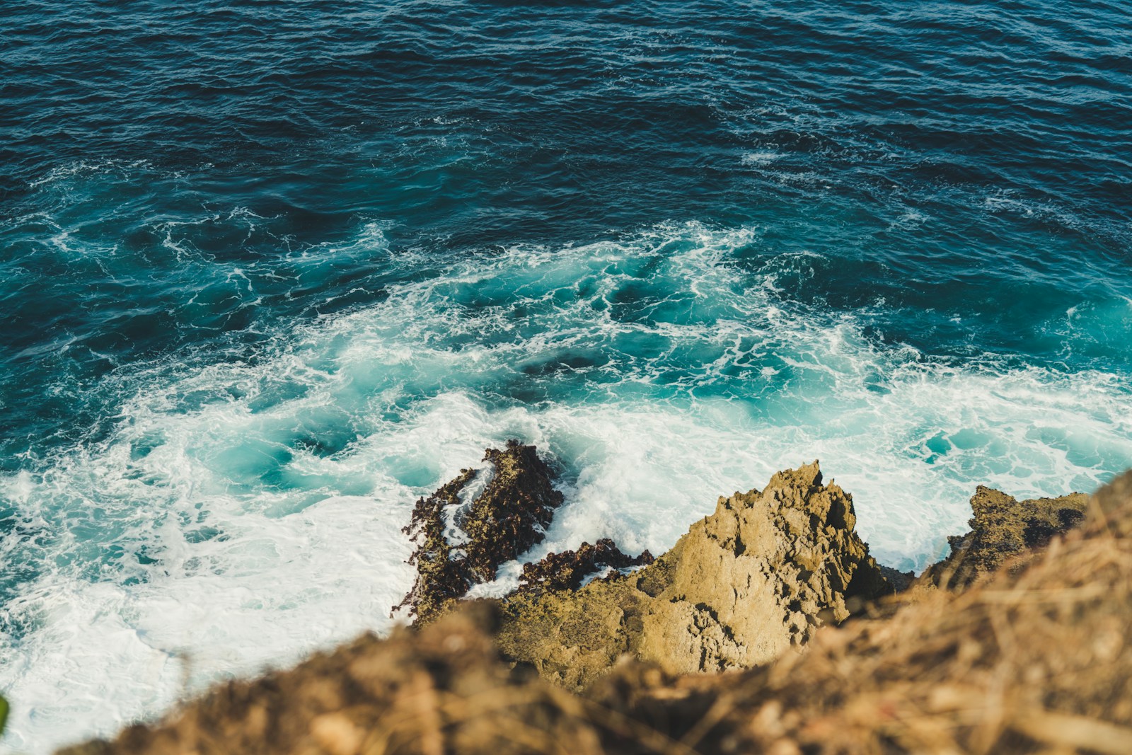 Plongée Bali : Explorez les fonds marin d&rsquo;Indonésie