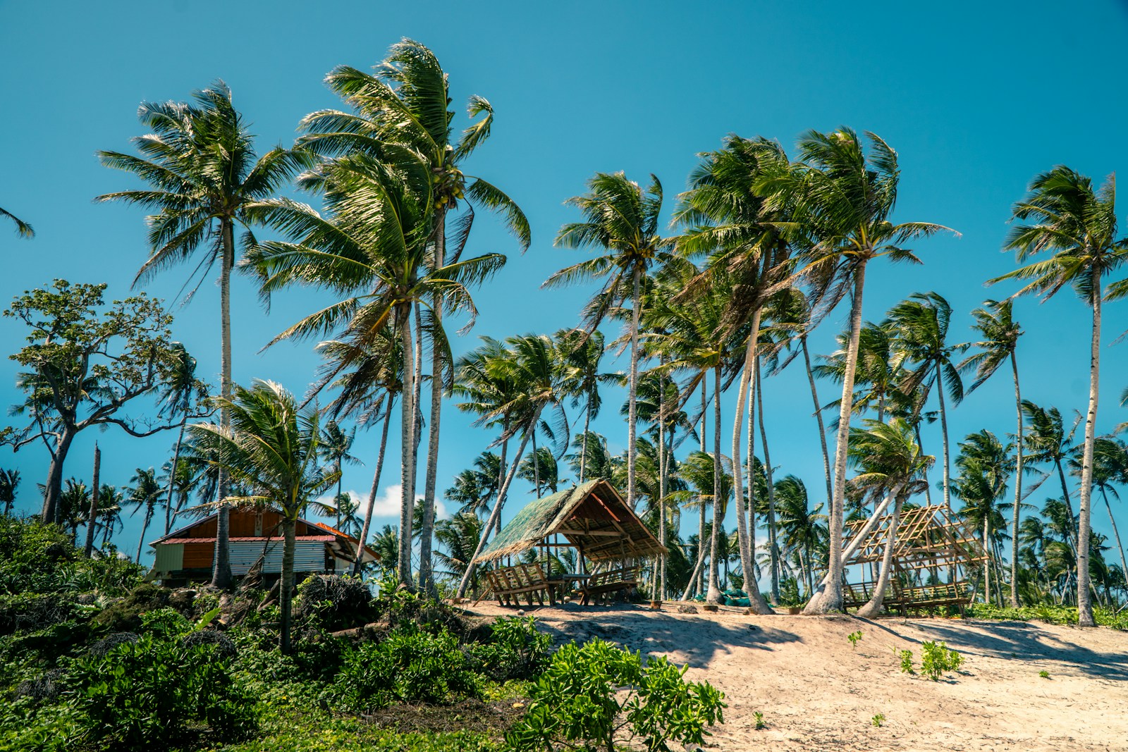 Prise Philippines : Tout sur les prises électriques aux Philippines