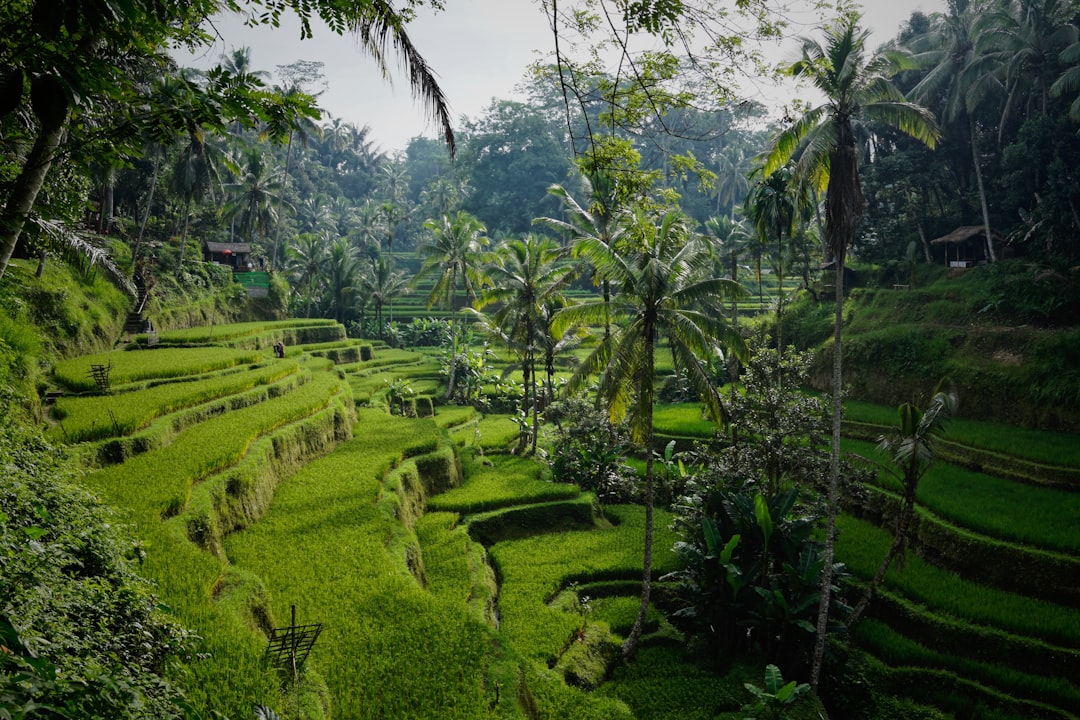 Votre itinéraire Bali 15 jours : découvrez les merveilles incontournables