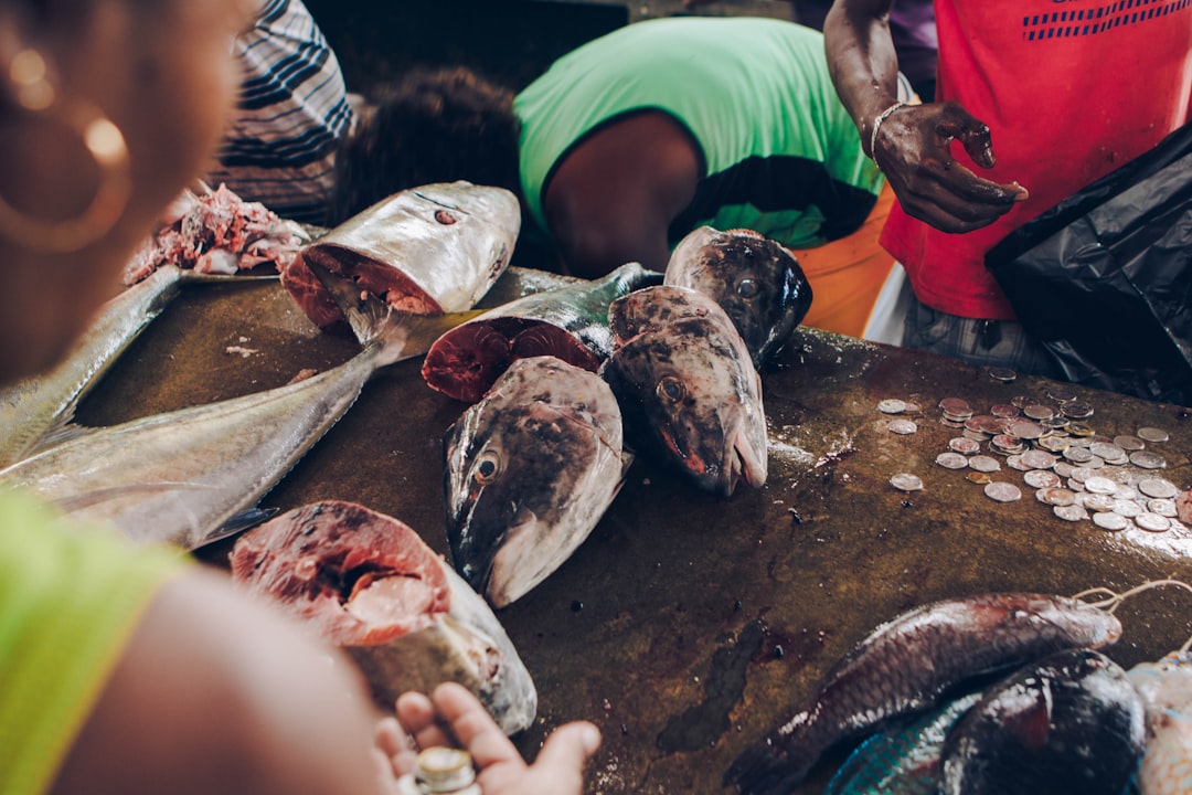 Que faire aux Seychelles : top 10 des activités incontournables