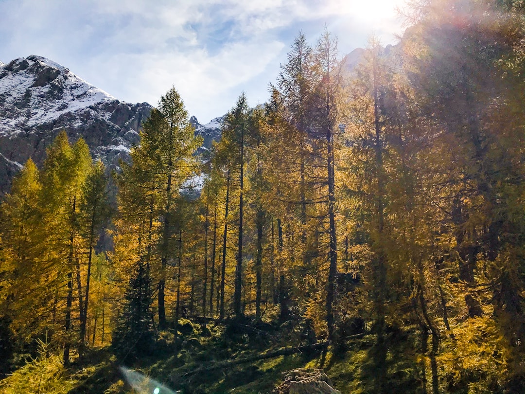 Le guide ultime pour un road trip dolomites inoubliable et époustouflant