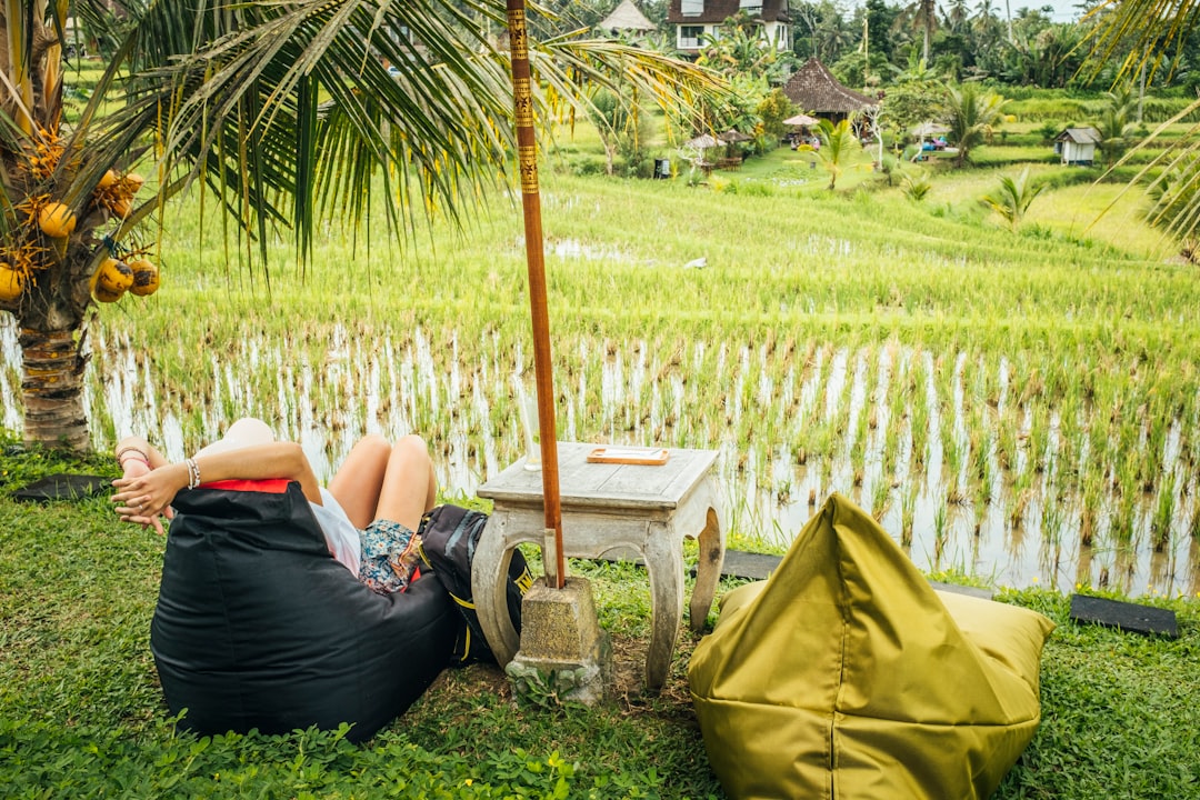 Que faire à Ubud : 12 expériences inoubliables pour plonger au cœur de Bali