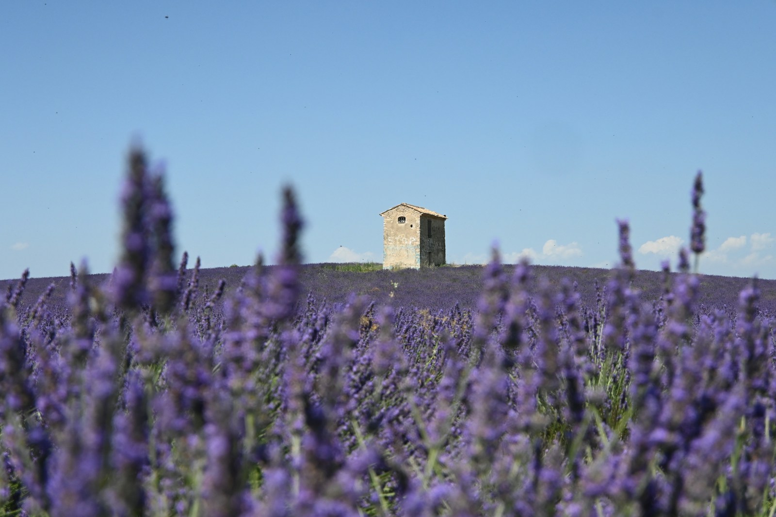 Le Château de Berne : Un Écrin de Luxe au Cœur de la Provence